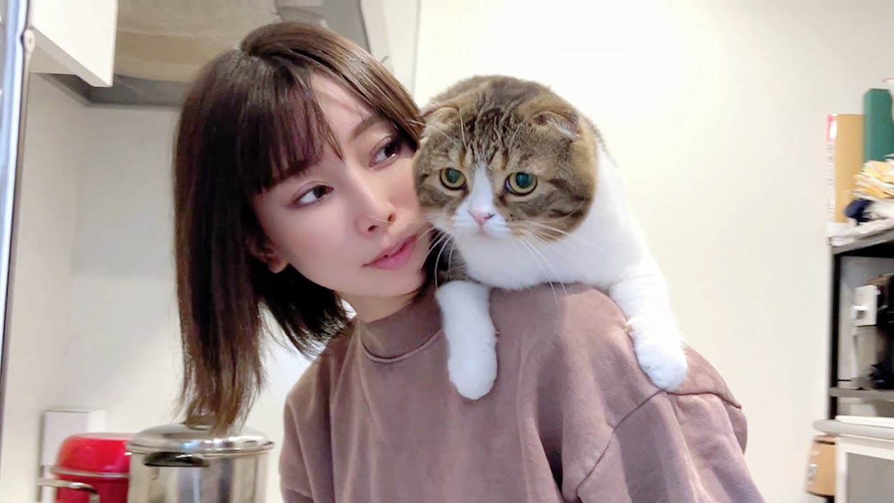 猫YouTuberのスコスコぽこ太郎 ママのことが大好きすぎて追いかける日を密着した
