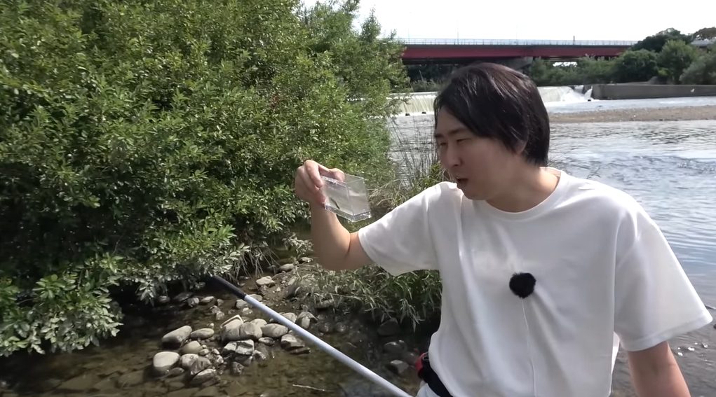 【きまぐれクック】都会の川でガサガサをしたら謎の魚を発見！？【調査】