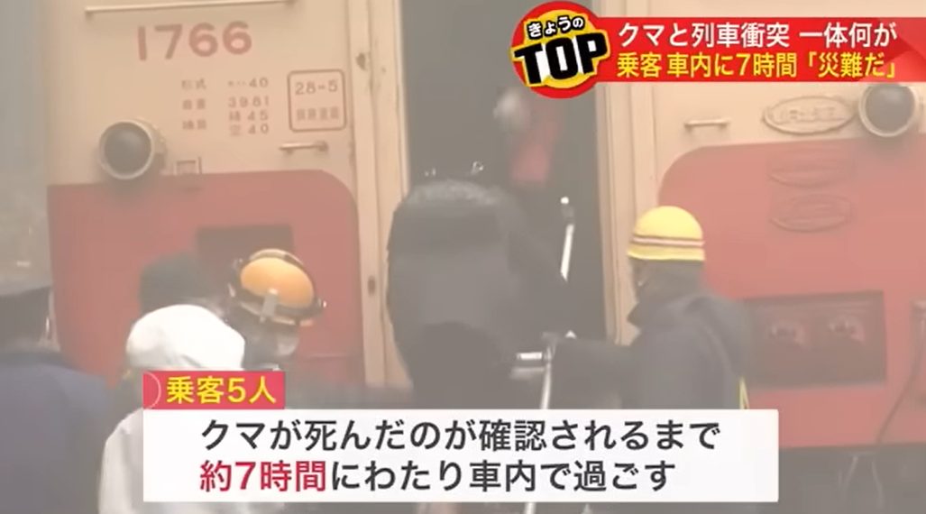 【北海道】クマと列車が衝突！乗客は〇時間閉じ込められることに！【災難】