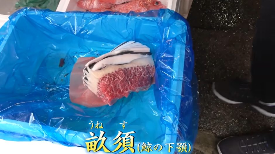 きまぐれクックが市場で珍しい魚介を発見！お刺身と煮付けで至福の時間に？
