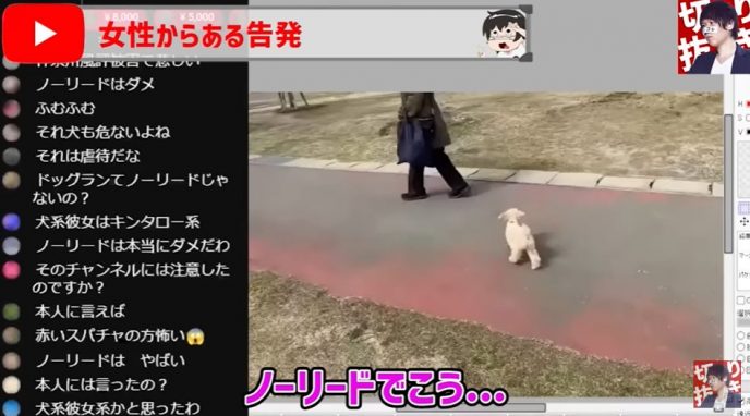 【コレコレ】犬系YouTuber〇〇が違反行為？散歩の仕方に批判殺到！