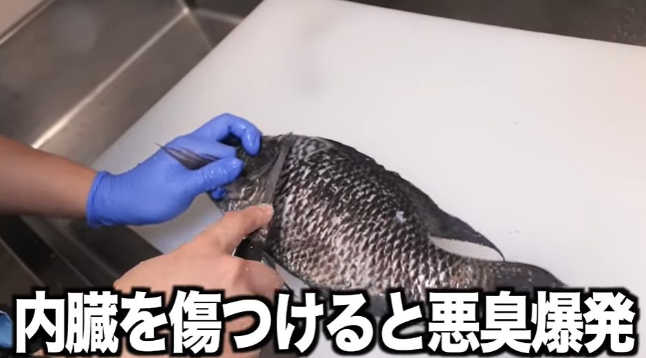 【素潜り漁師マサル】沖縄で下水育ちの〇〇を釣って調理！超臭い魚の味は？