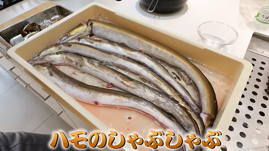 【きまぐれクック】市場で買った〇〇と松茸をしゃぶしゃぶに！！【高級魚】