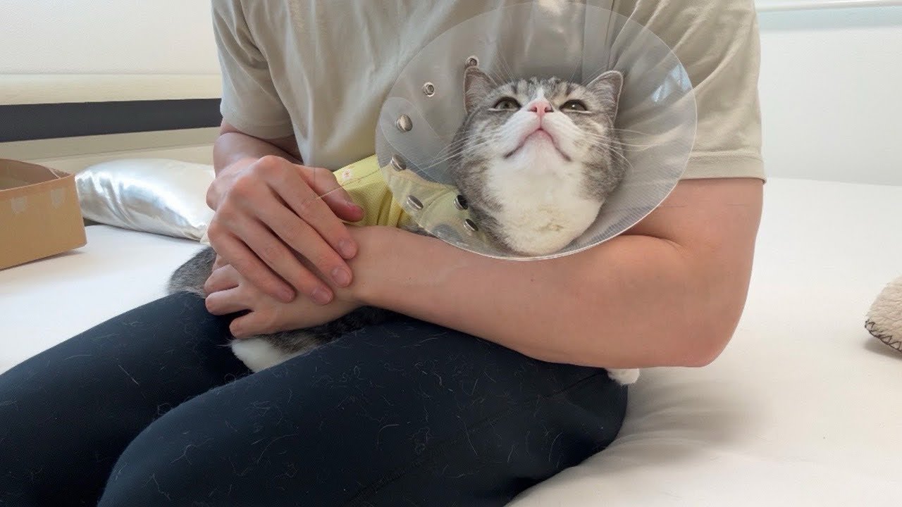 もちまる日記