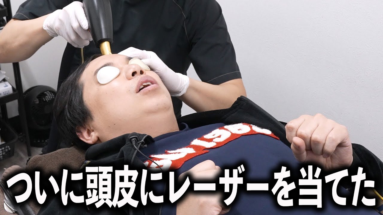 せいや