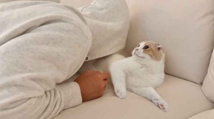 もちまる日記