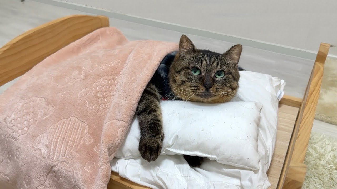 もちまる日記