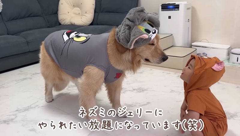 豆柴うに&ゴールデンレトリバーおから UNI&OKARA