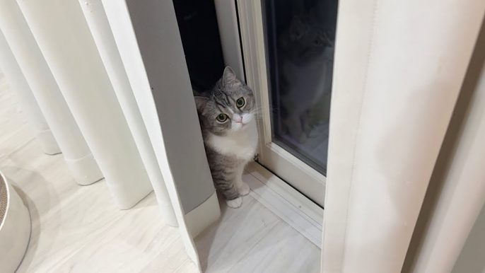 もちまる日記