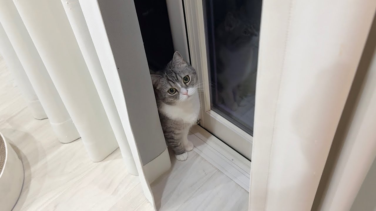 もちまる日記