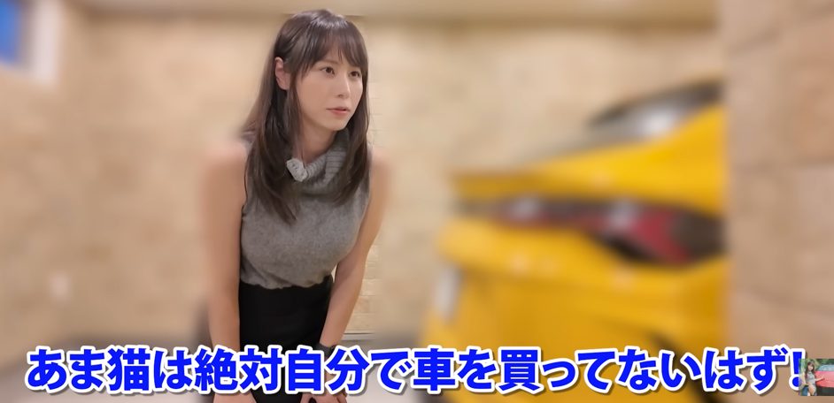 あま猫 / AMA