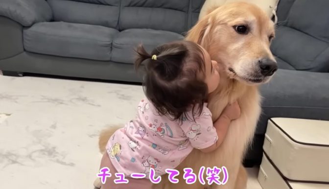 豆柴うに＆ゴールデンレトリバーおから UNI＆OKARA