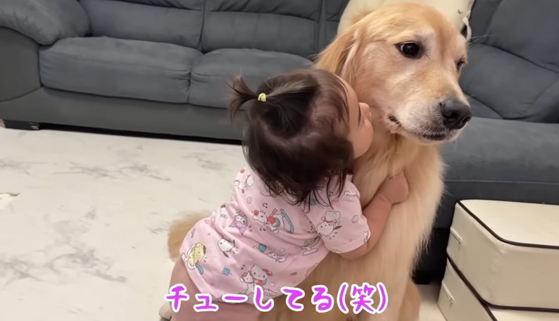 豆柴うに＆ゴールデンレトリバーおから UNI＆OKARA