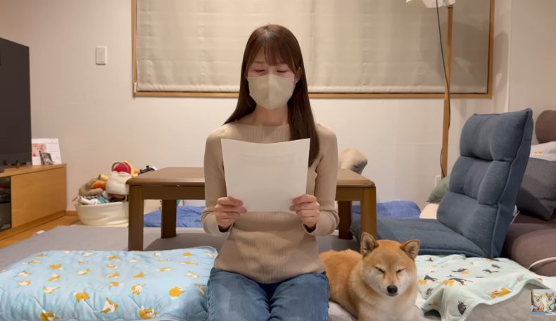 豆柴福ちゃん富くんFuku and Tom