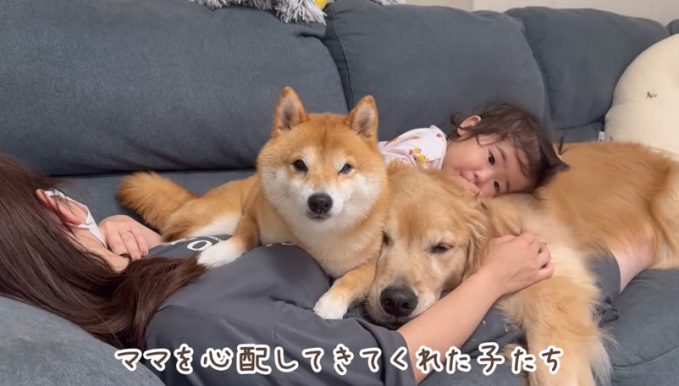 豆柴うに＆ゴールデンレトリバーおから UNI＆OKARA