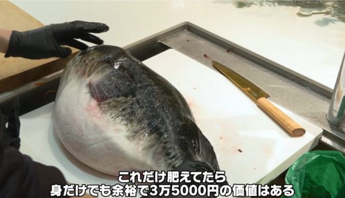 きまぐれクックKimagure Cook