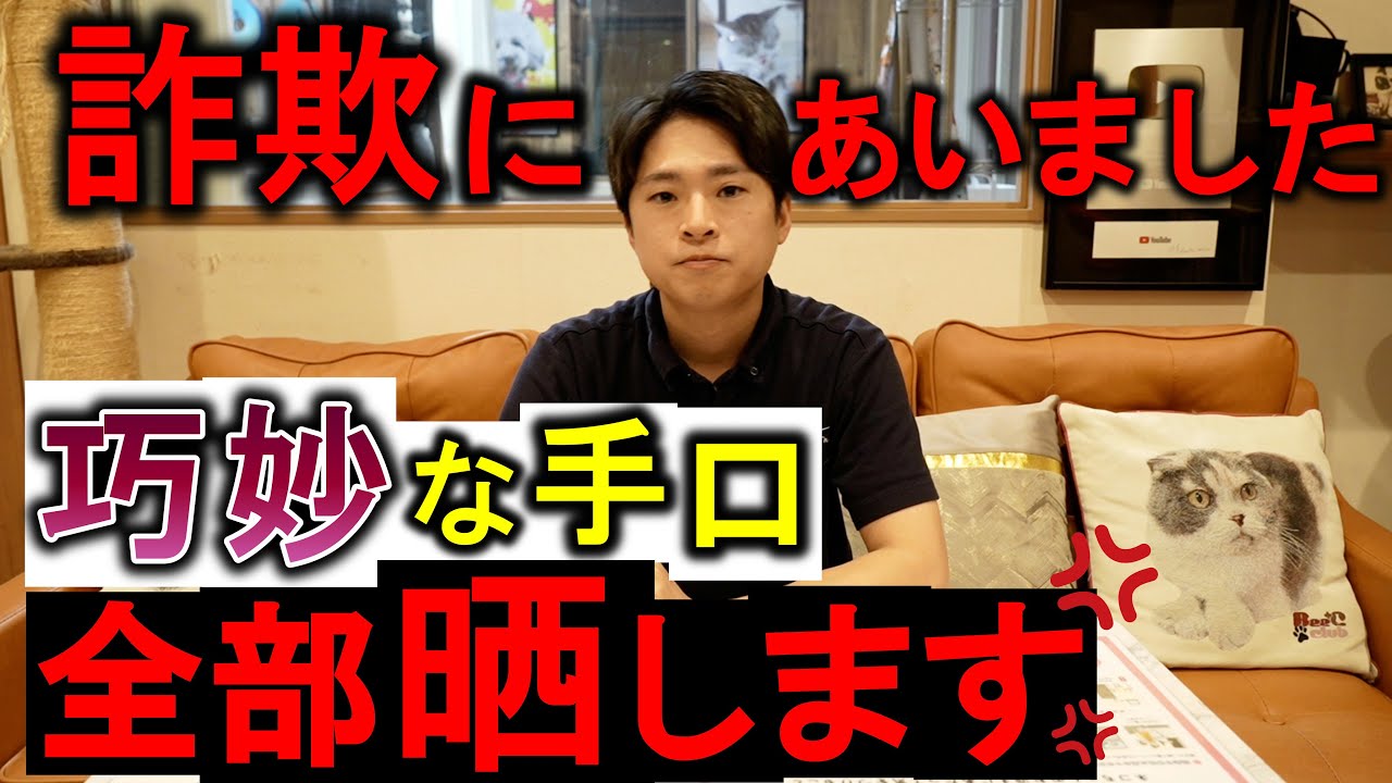 キャットブリーダー 沢辺