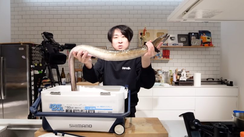 きまぐれクックKimagure Cook