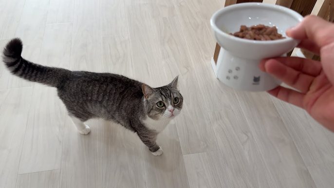 もちまる日記