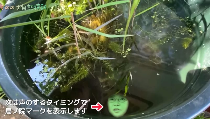 いきもの自然探訪