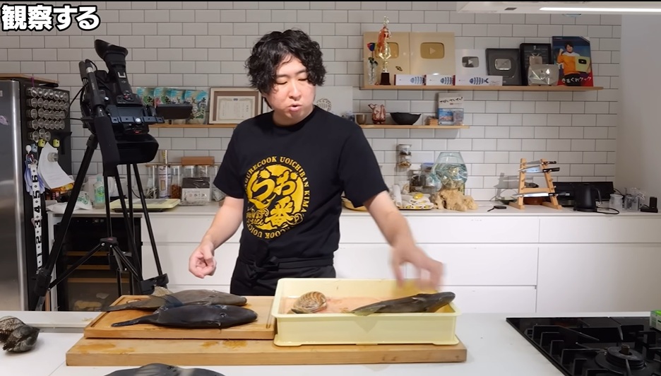きまぐれクック