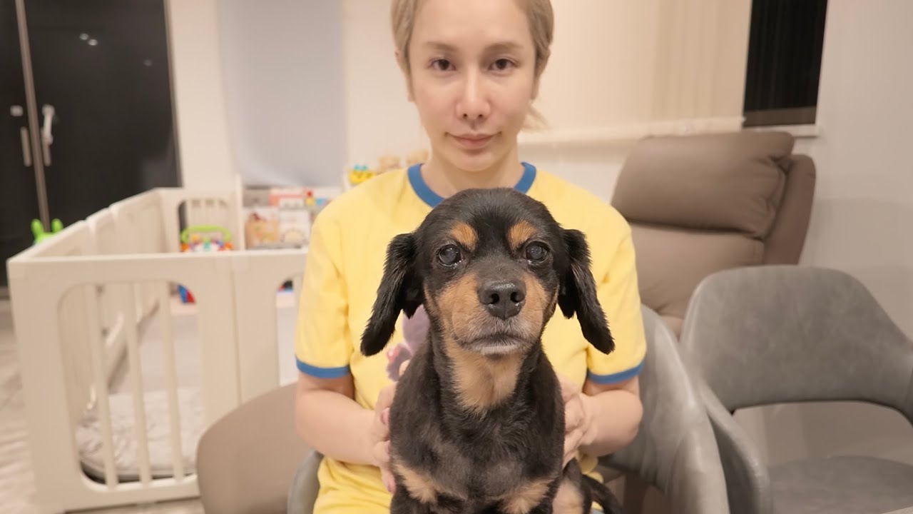 ありしゃんの情熱大陸