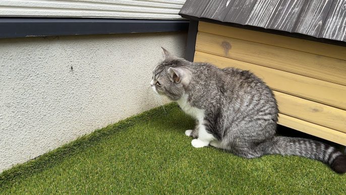 もちまる日記