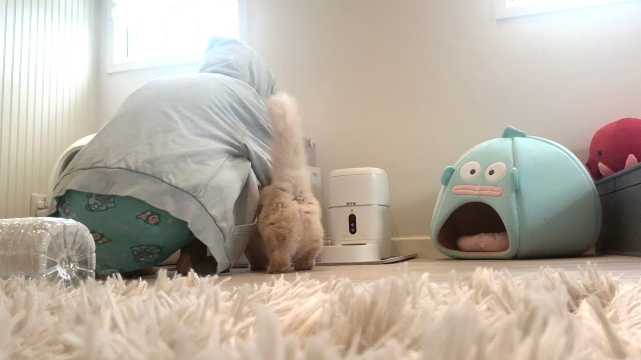 まあたそ