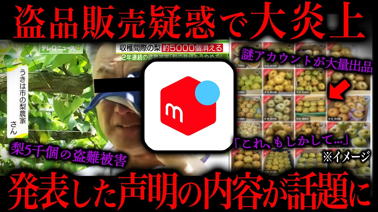 たっくーTVれいでぃお