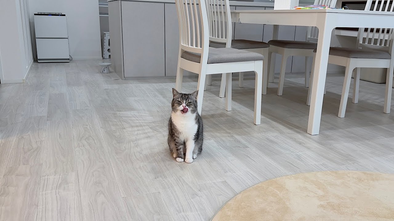 もちまる日記